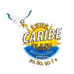 Caribe 95.5 FM