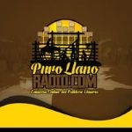 Puro Llano Radio